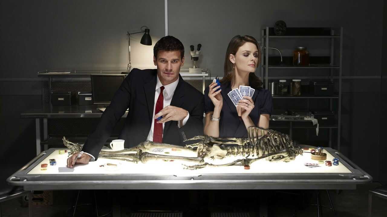 [SE] Bones 1