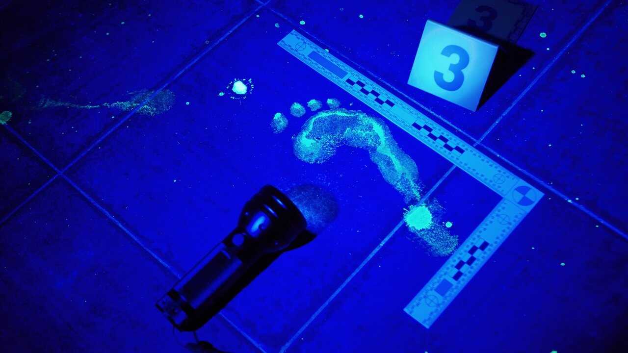 DE - Medical Detectives: Geheimnisse der Gerichtsmedizin (1996) (US) 0