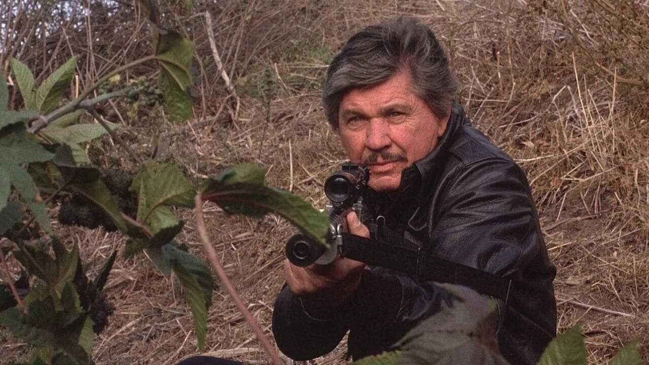 Death Wish 4: The Crackdown 0