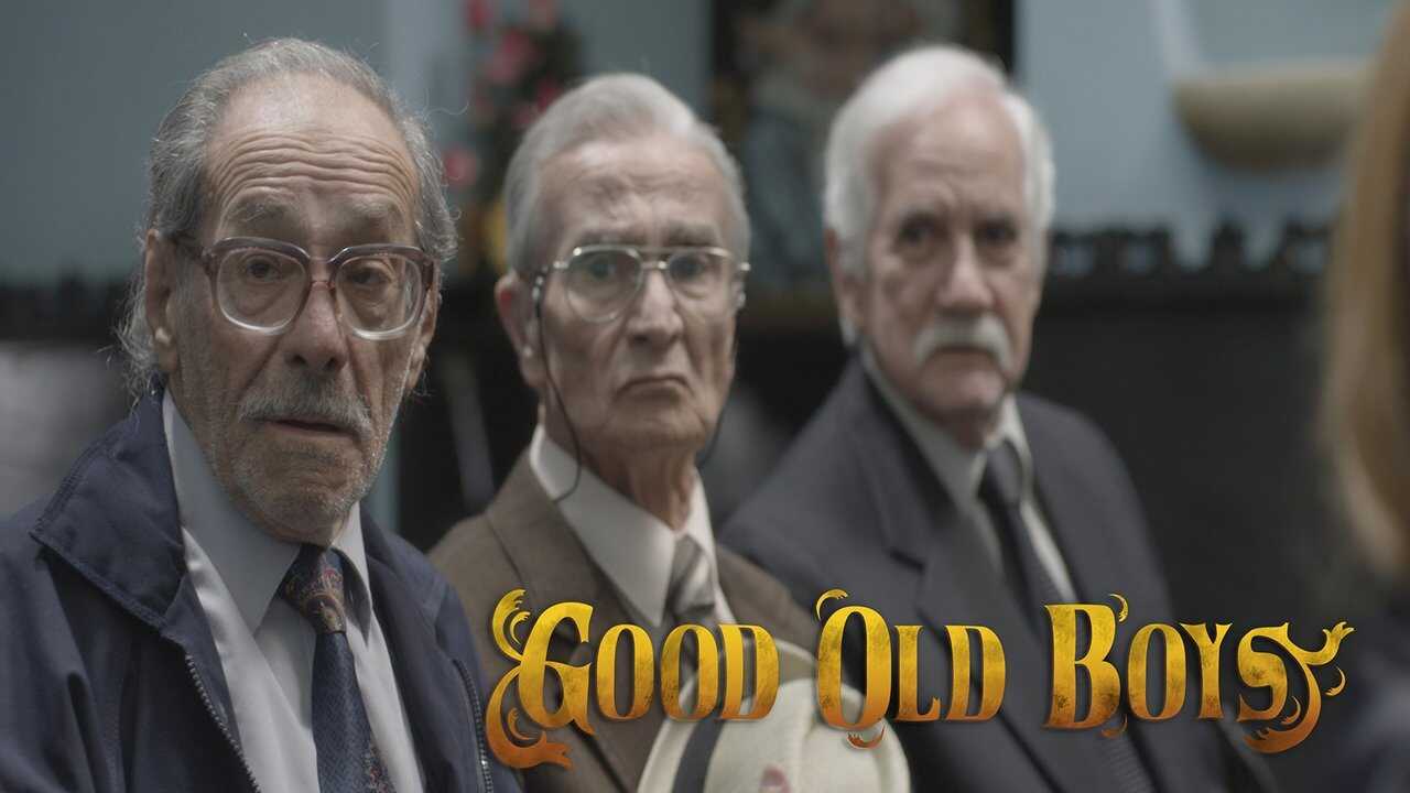 The Good Old Boys (1995) 0
