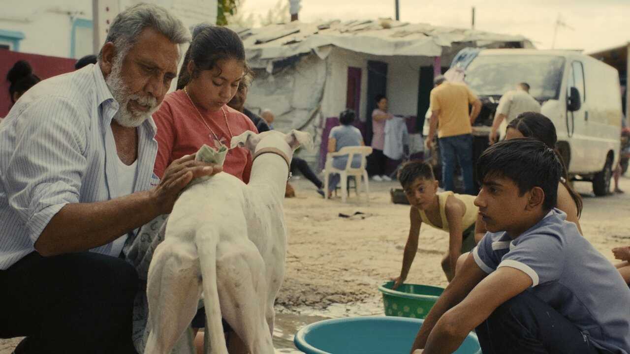 Ciudad sin sueño (2025) 0