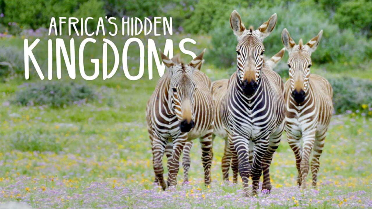 EN - Africa's Hidden Kingdoms (2016) 0