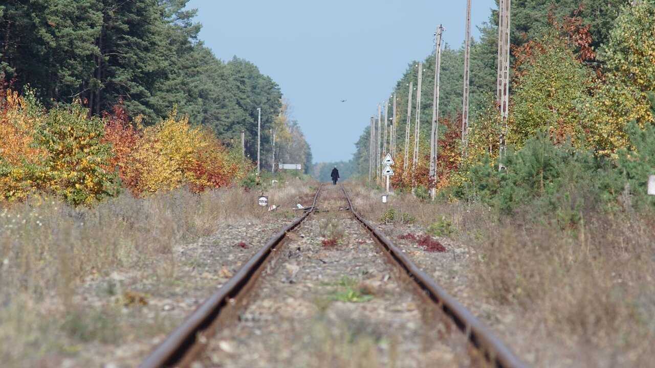 Sobibór : Anatomie d’un camp d’extermination (2024) 0