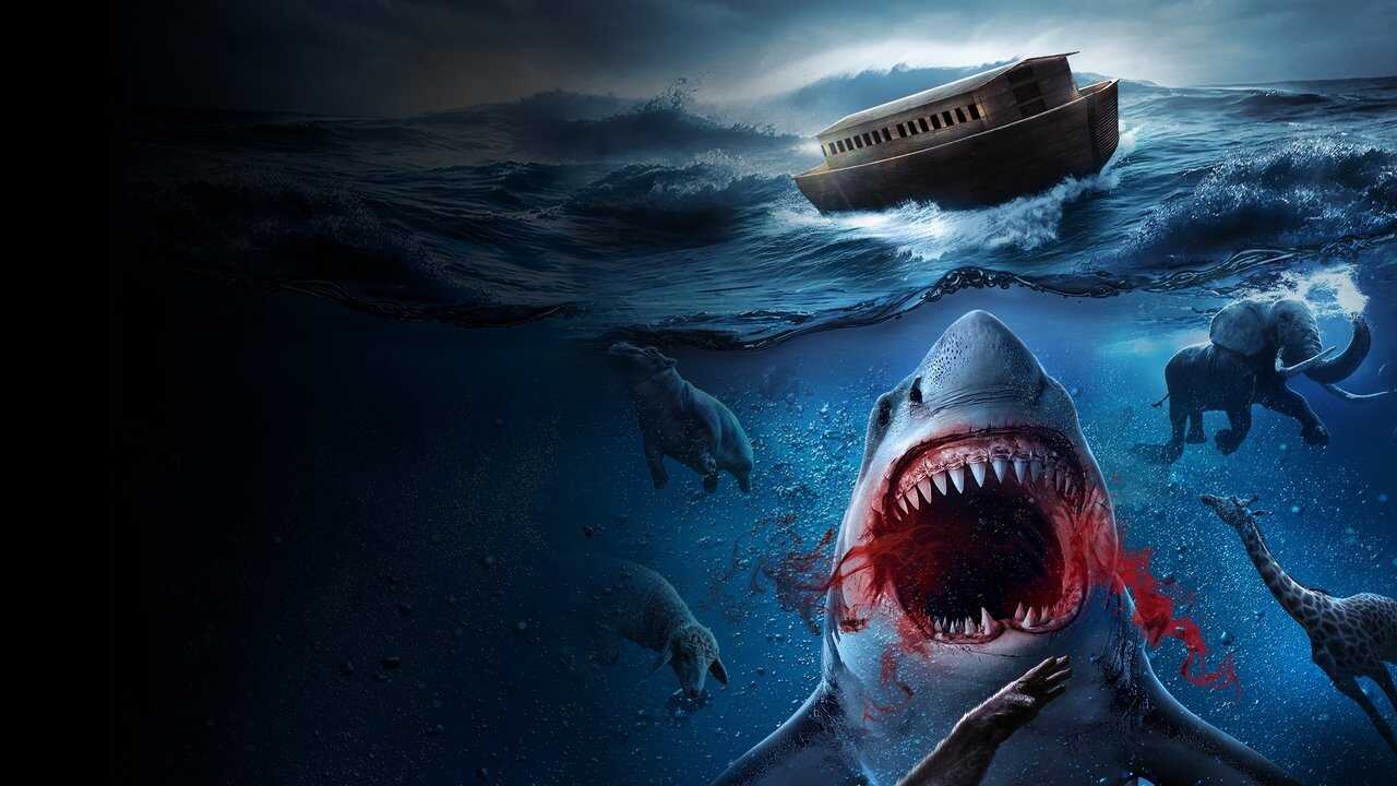 Noah’s Shark 0