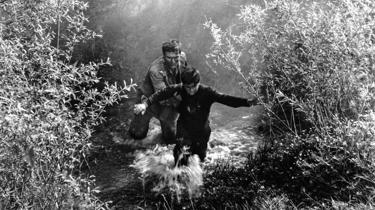 Don't Look Back, My Son (1956) 0