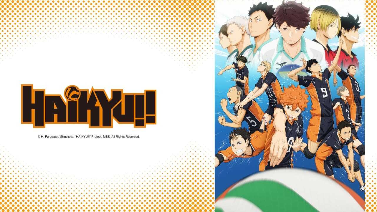 DE - Haikyu!! (2014) 0