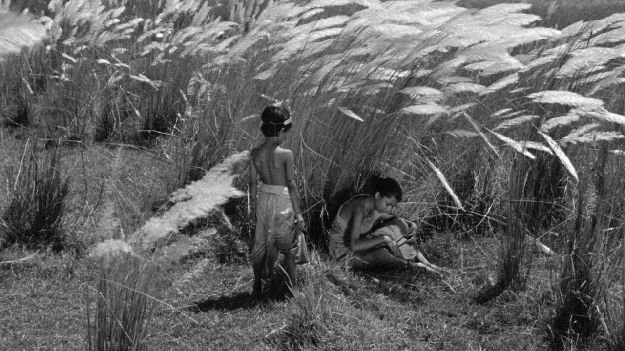 Pather Panchali (1955) 0