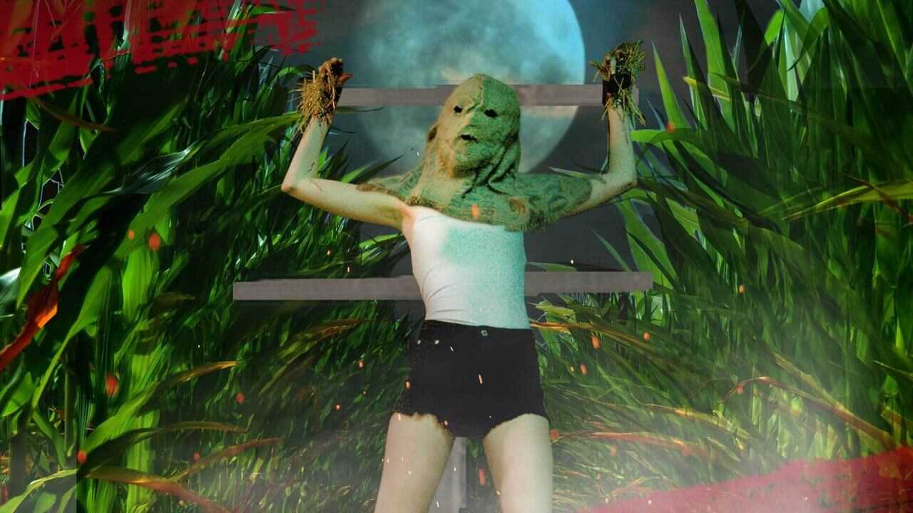 C.O.R.N. 0