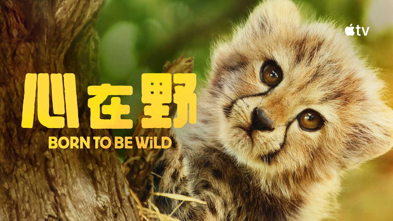 AR - وُلدتُ لأكون متوحشة (2025) (GB) 2