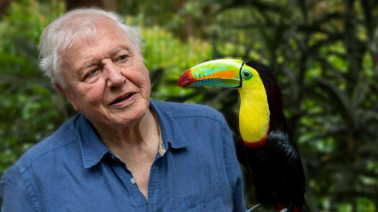FR - La Vie en couleurs avec David Attenborough 0