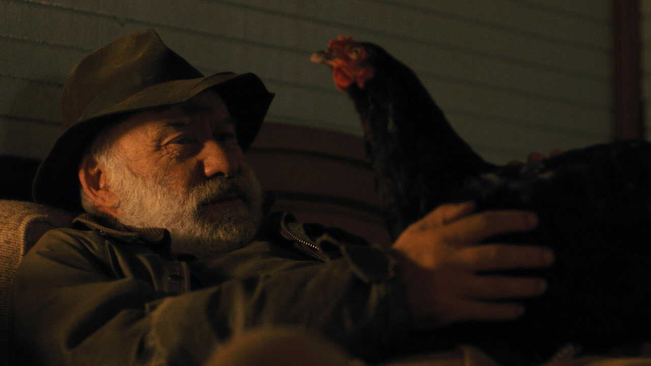 Hen (2026) 0