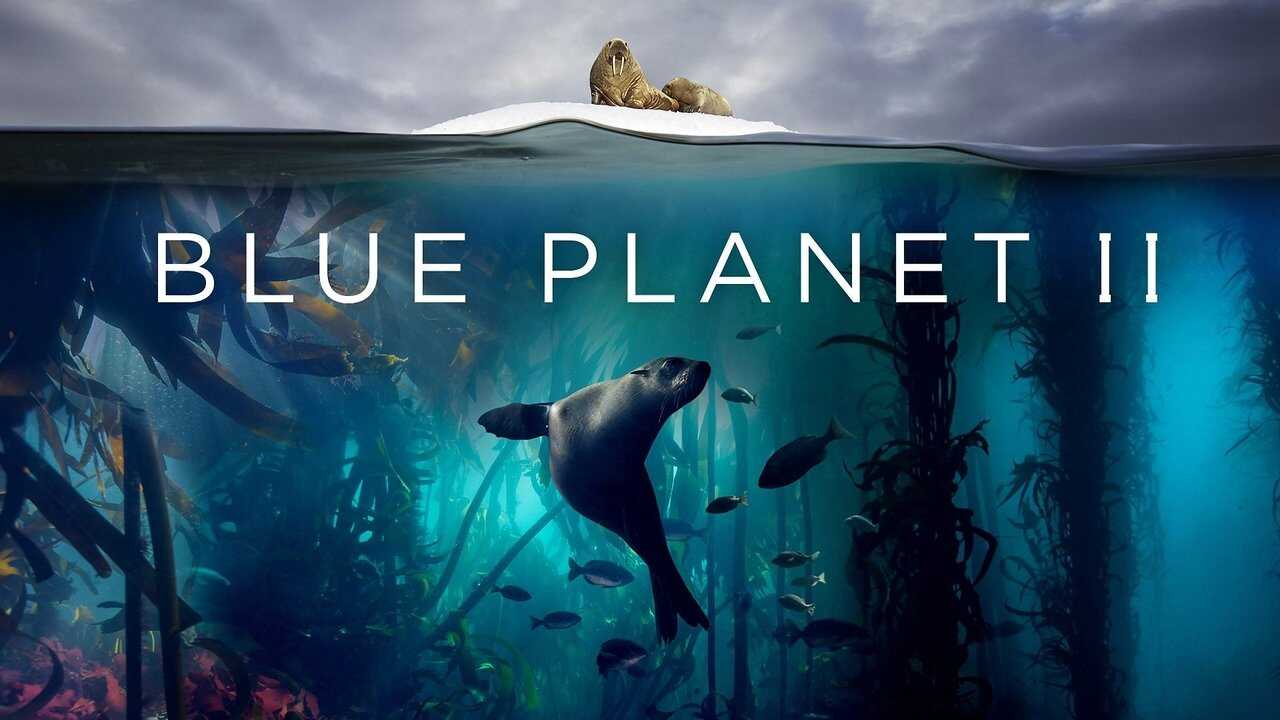 EN - Blue Planet II 4K (2017) 2