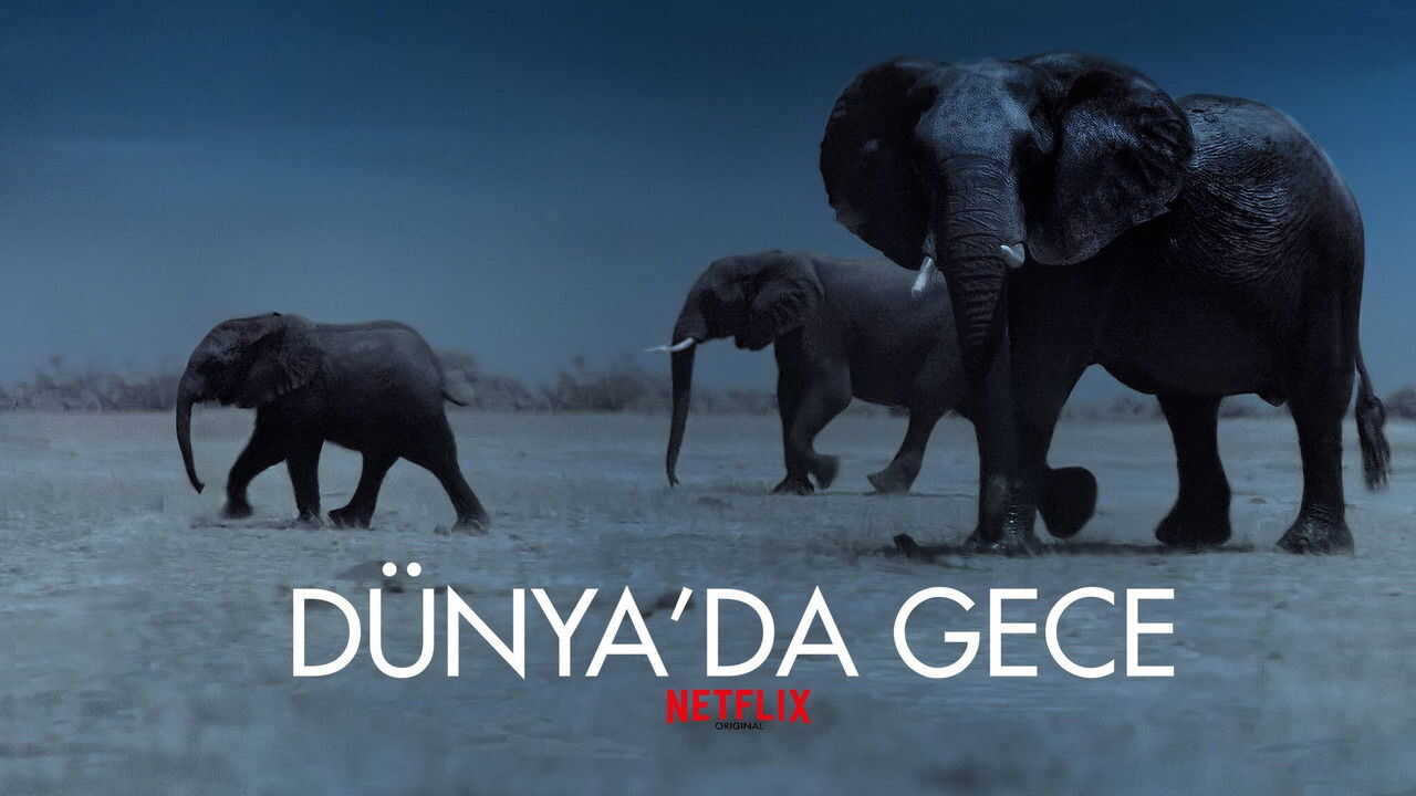 NF - Night on Earth 3