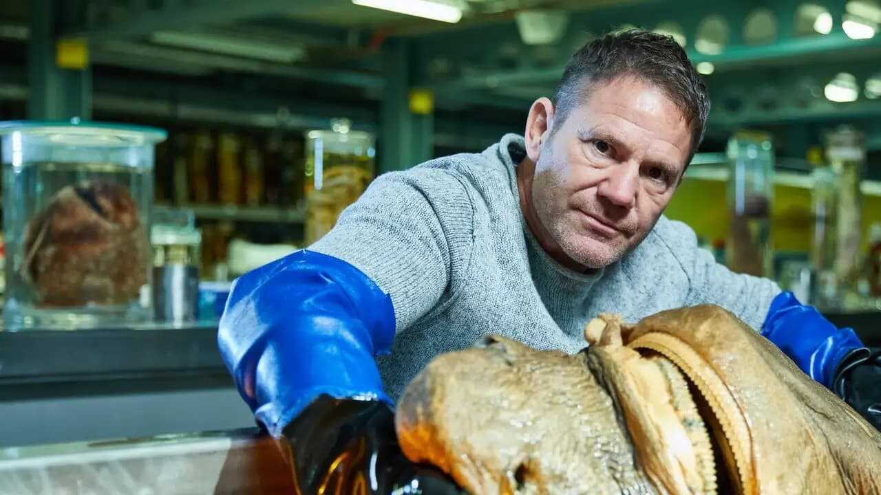 EN - Shark With Steve Backshall (2021) 0