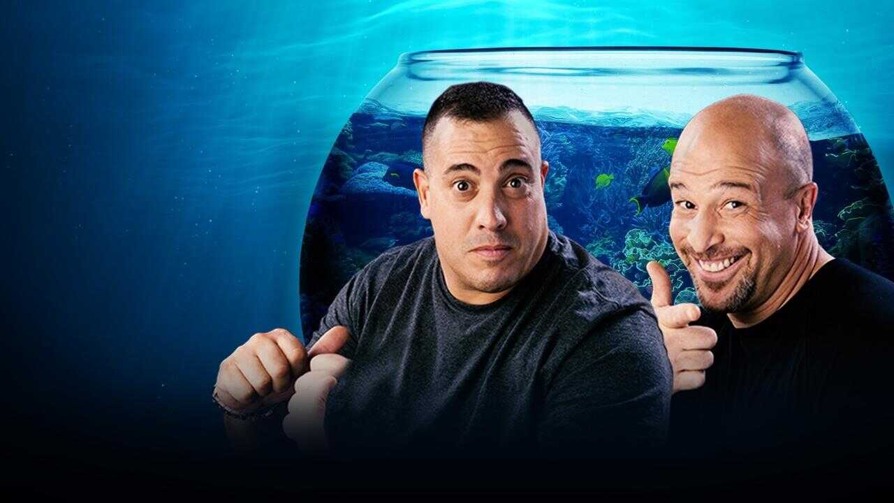 FR - Aquamen 0