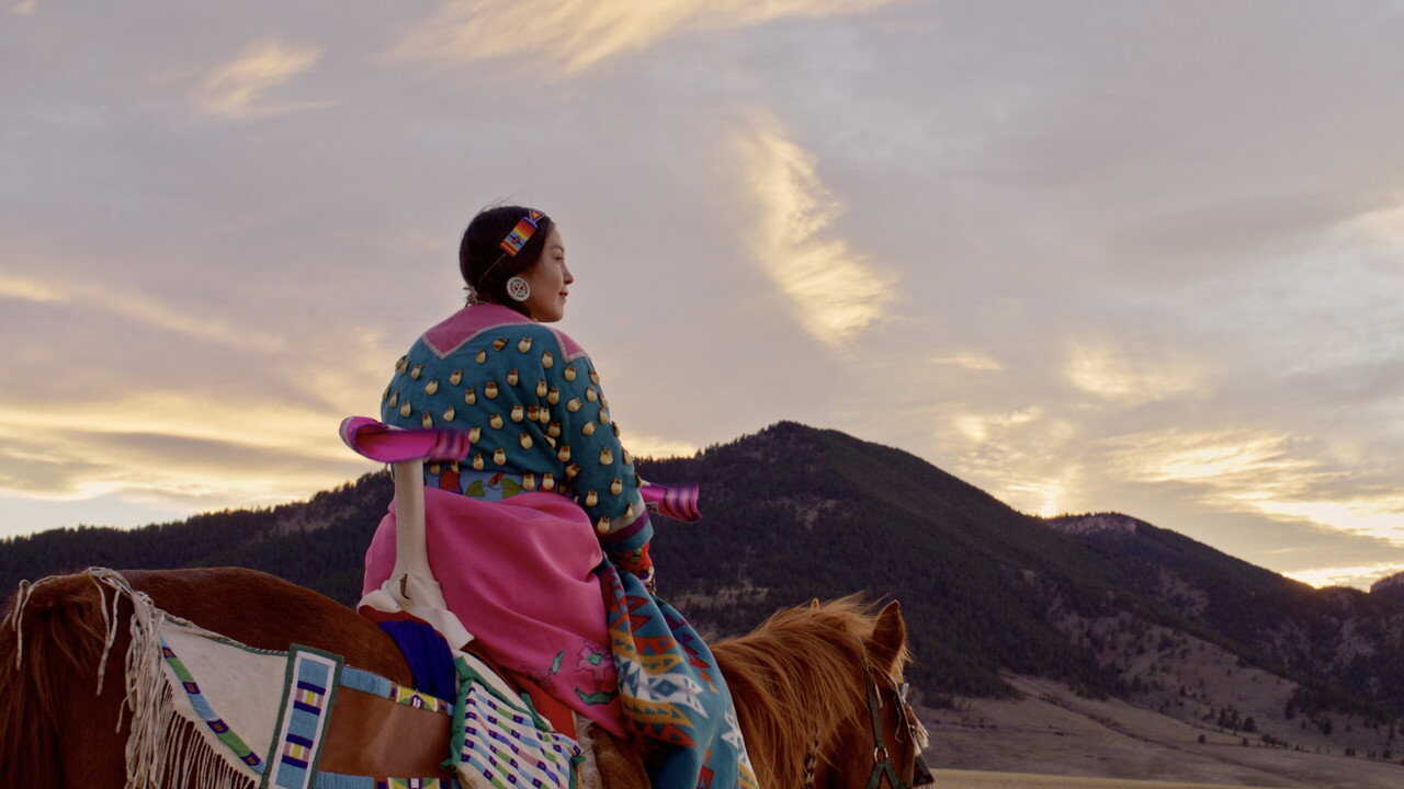 In the Company of Wolves: An American Journey (2026) 0