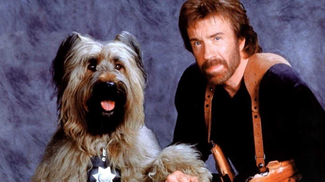 Top Dog (1995) 0