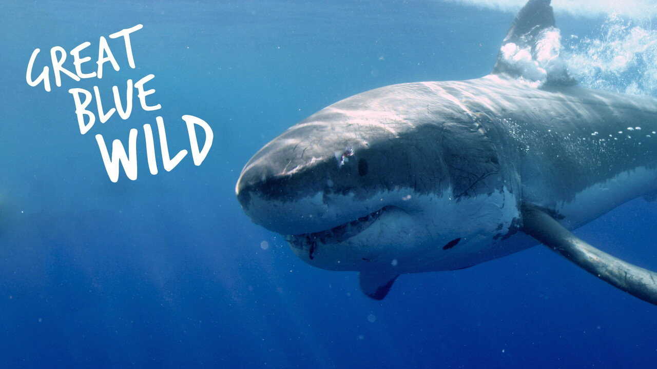 EN -  Great Blue Wild (2015) (US) 1