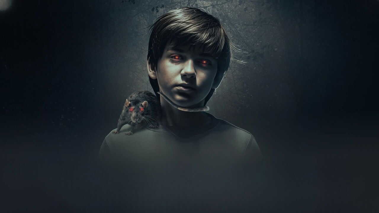 The Confession (2026) 0