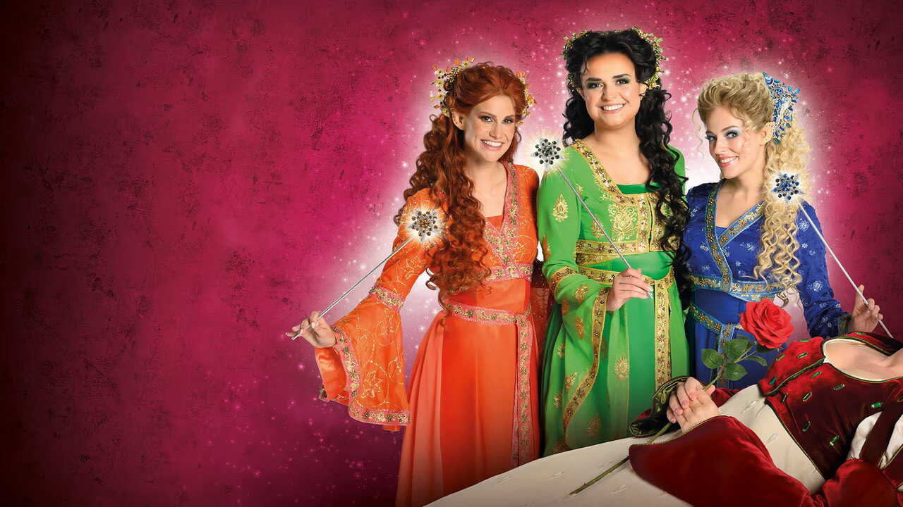 Doornroosje, De Musical (2026) 0