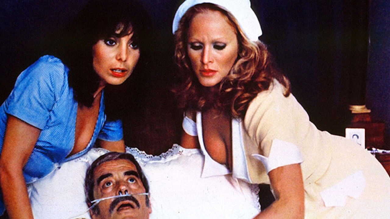 The Sensuous Nurse (1975) 0