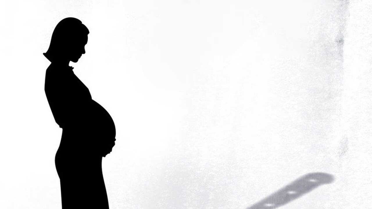 In der Falle der Leihmutter (2012) 0