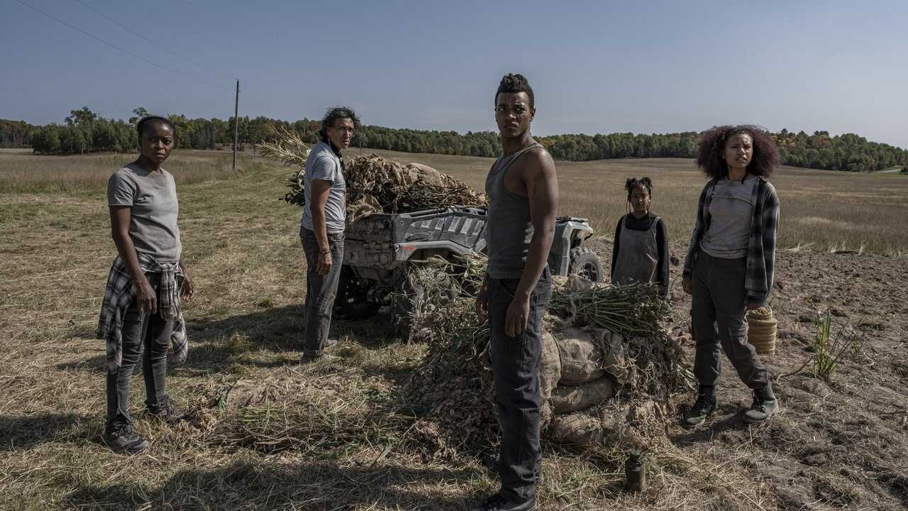 40 Acres (2025) 0