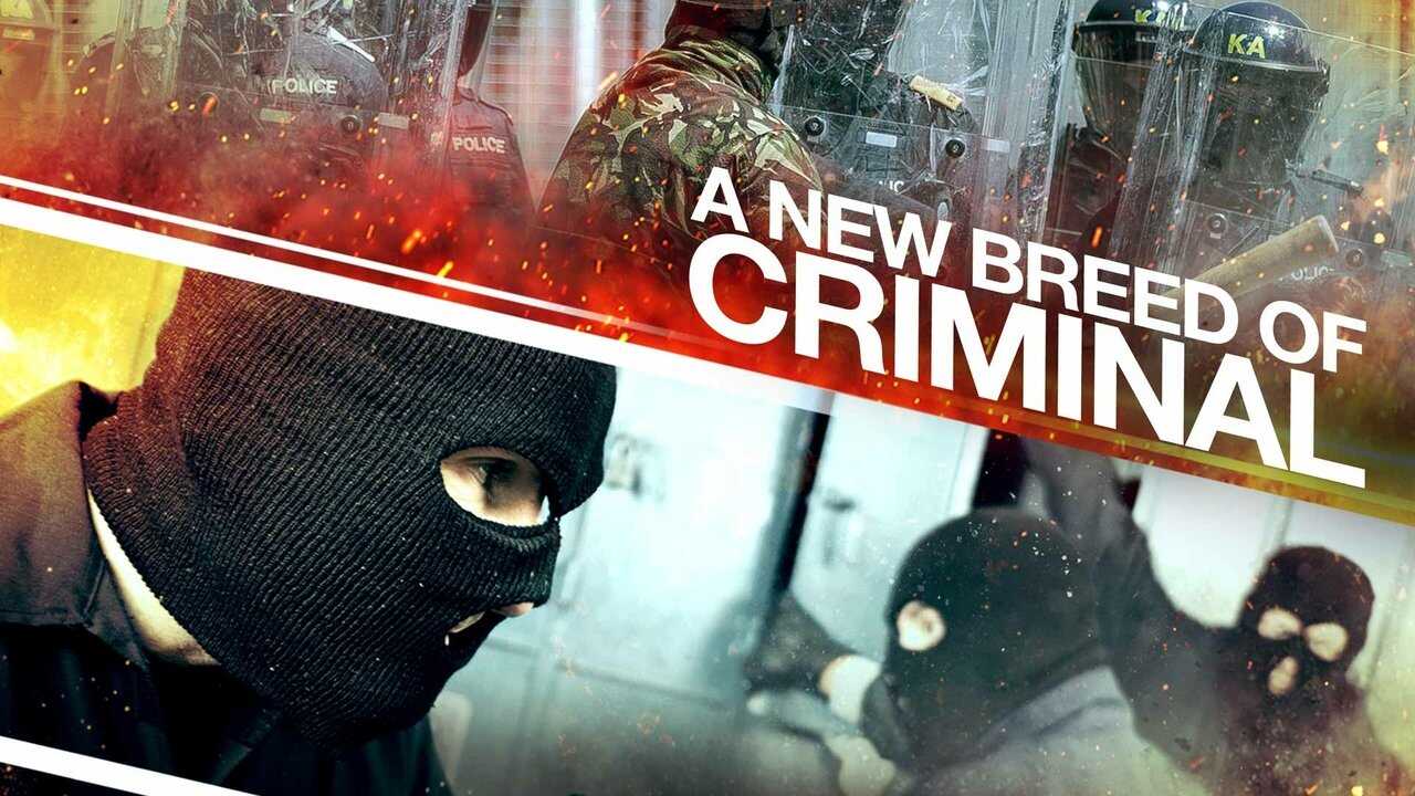Szkoła bandytów (2023) 0