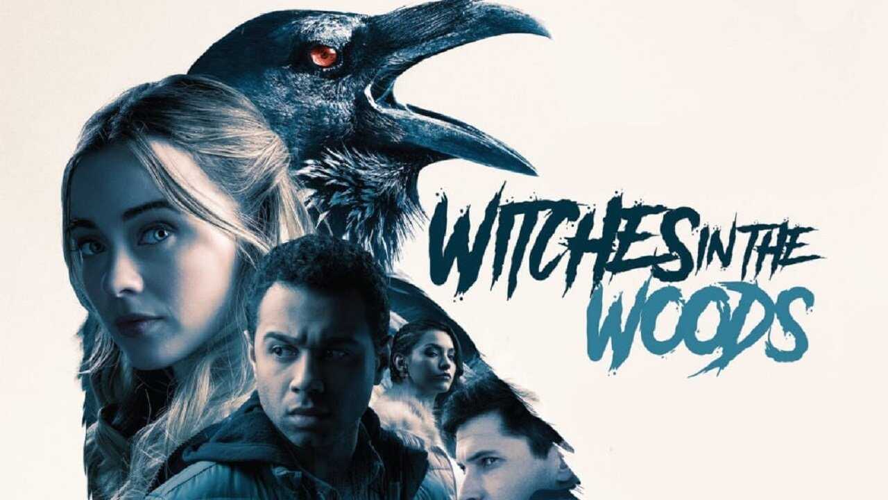 Witches in the Woods 0
