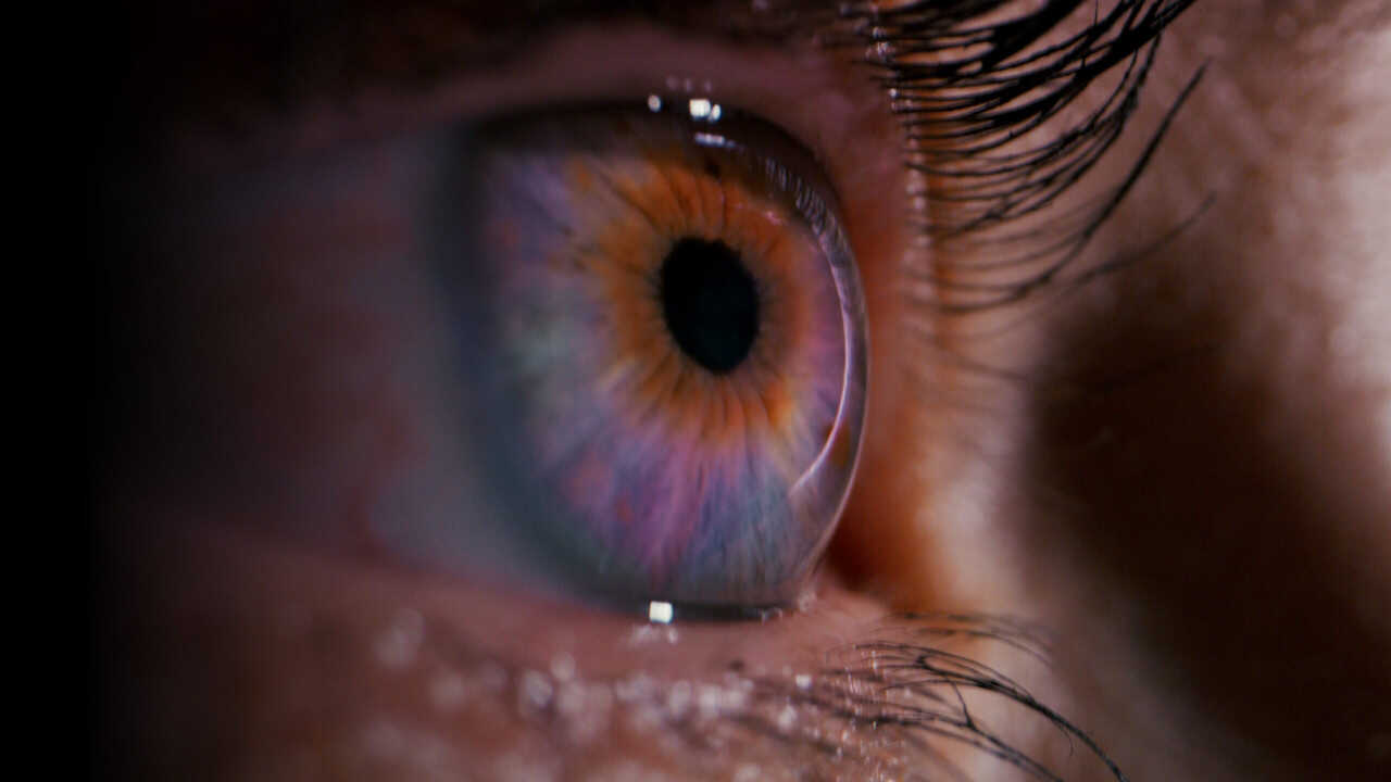 El gran aviso (2024) 0