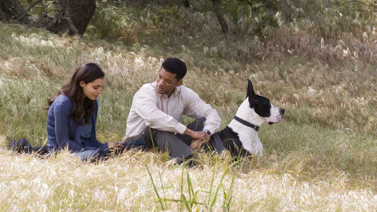 Seven Pounds (2008) 0
