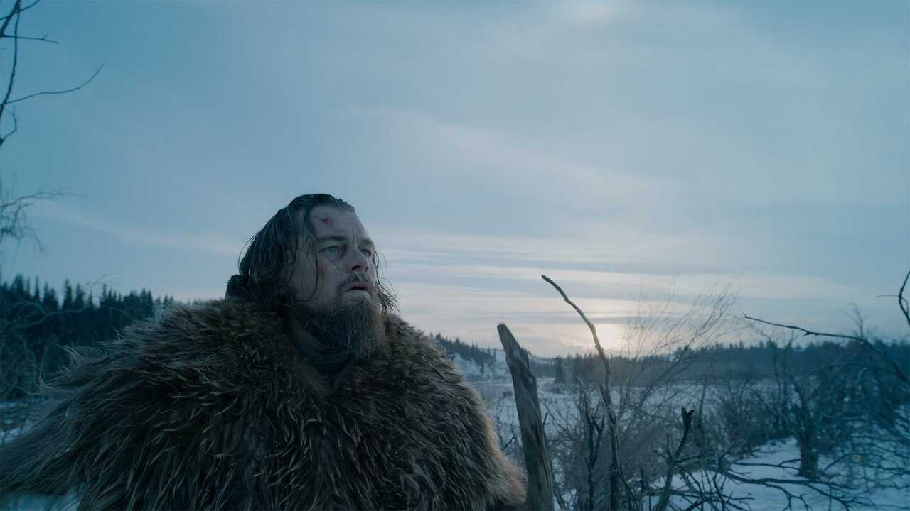 The Revenant - Der Rückkehrer (2015) 0