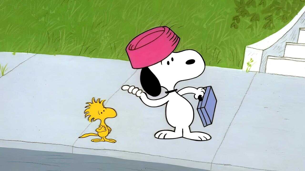 Snoopy, Come Home 0