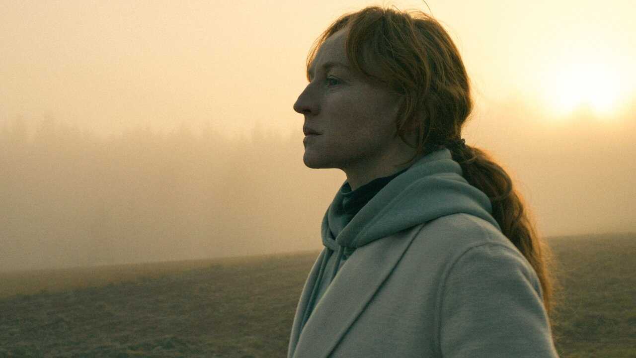 Wald (2023) 0