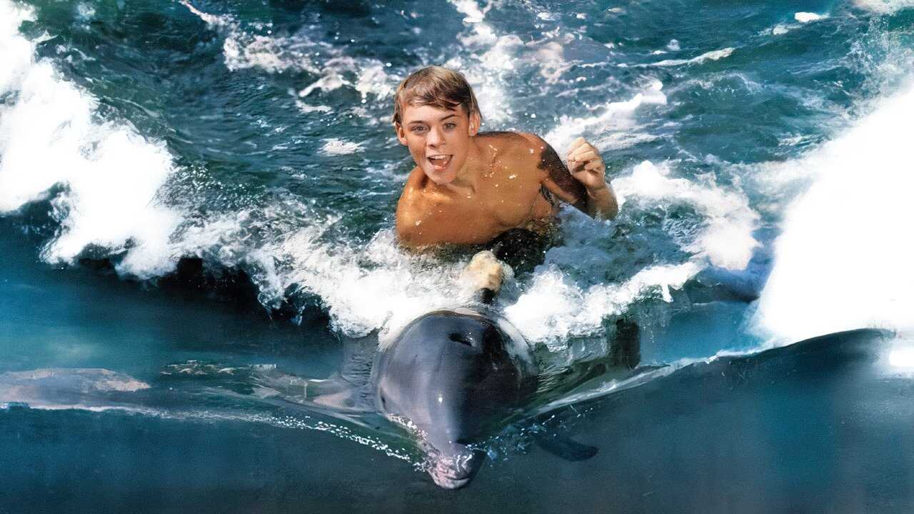 Flipper (1963) 0