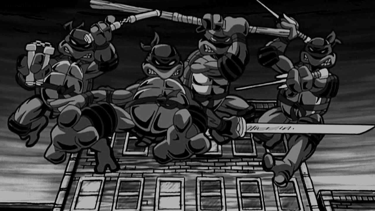 Turtles Forever (2009) 0