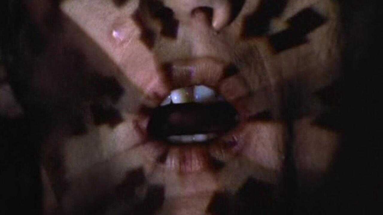 The Trip 0