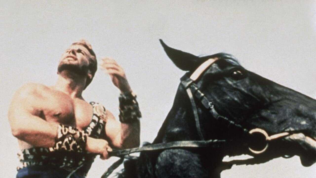 Hercules Returns (1993) 0
