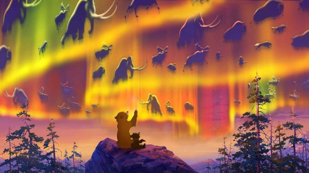 Hermano oso (2003) 0
