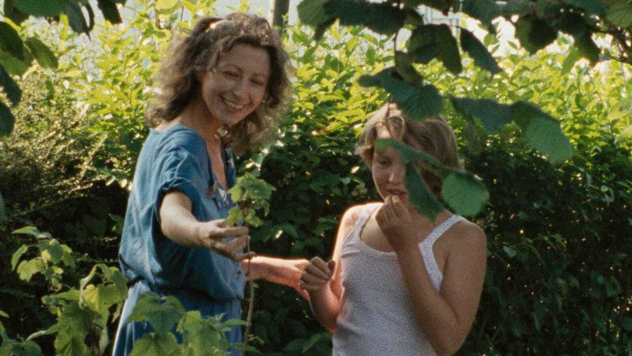 The Green Ray (1986) 0