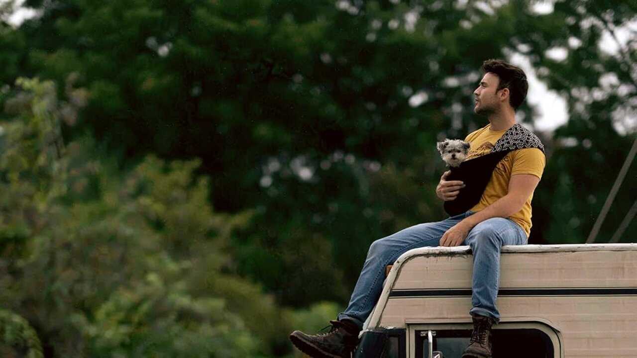 Dogs on the Sendero (2024) 0