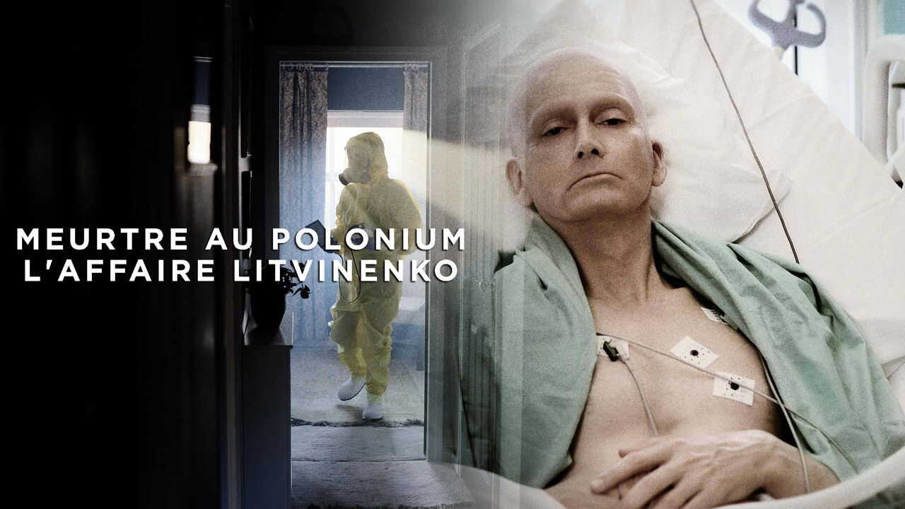 EX - Litvinenko (2022) 1