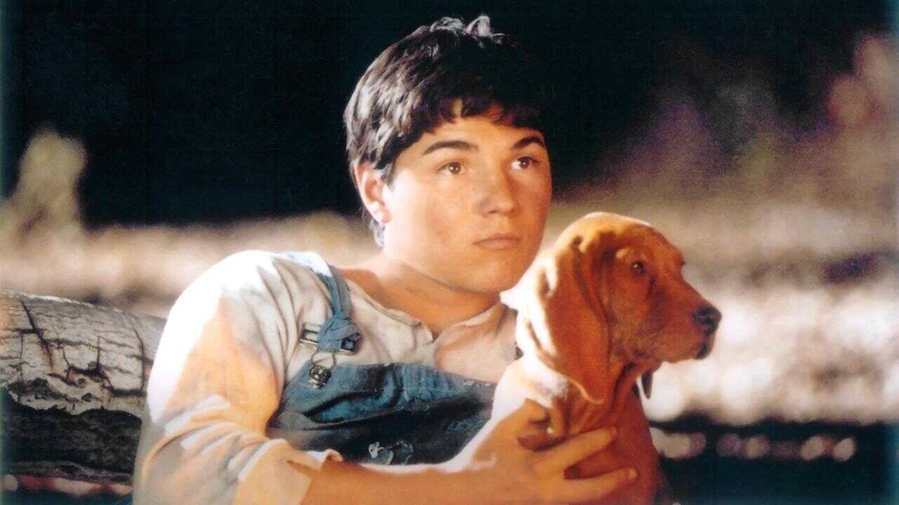 Where the Red Fern Grows (2003) 0