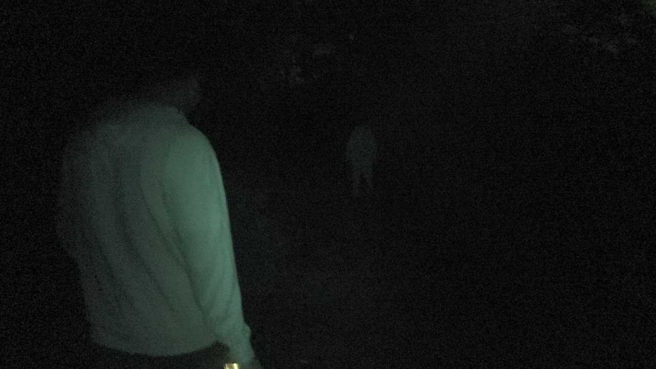 Terror Tales: Poetry & Death Volume 1 (2025) 0