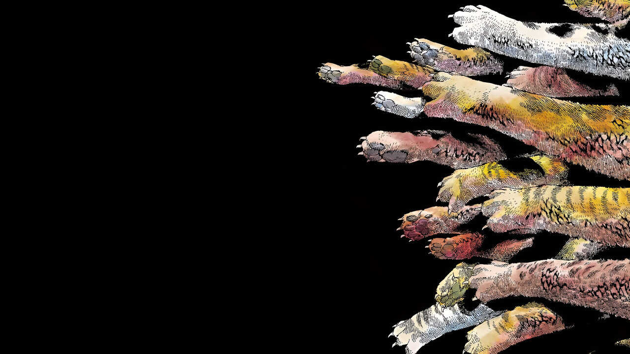 FR - Nyaight of the Living Cat (2025) (JP) 2