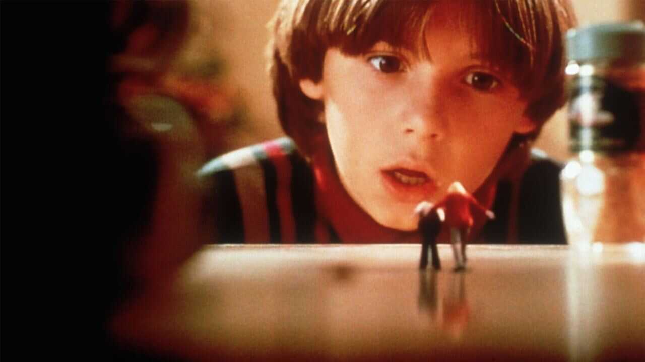 Cariño, nos hemos encogido a nosotros mismos (1997) 0