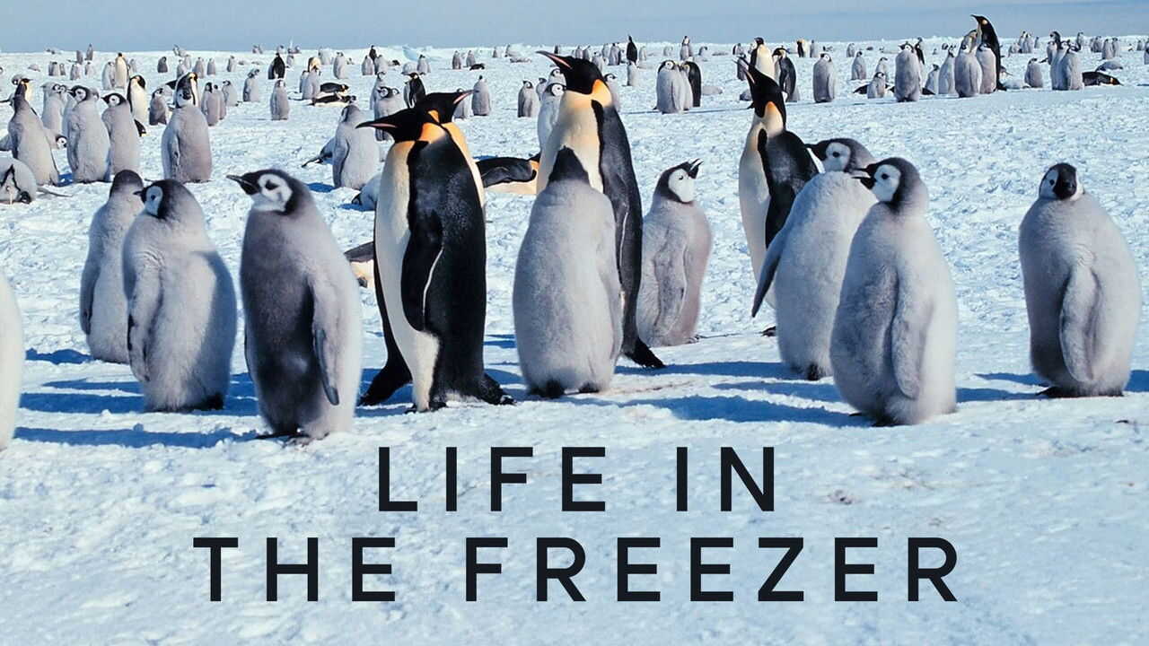 EN - Life in the Freezer (1993) (GB) 3