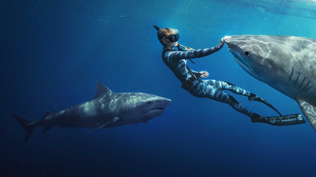 Encantadora de tiburones (2025) 0