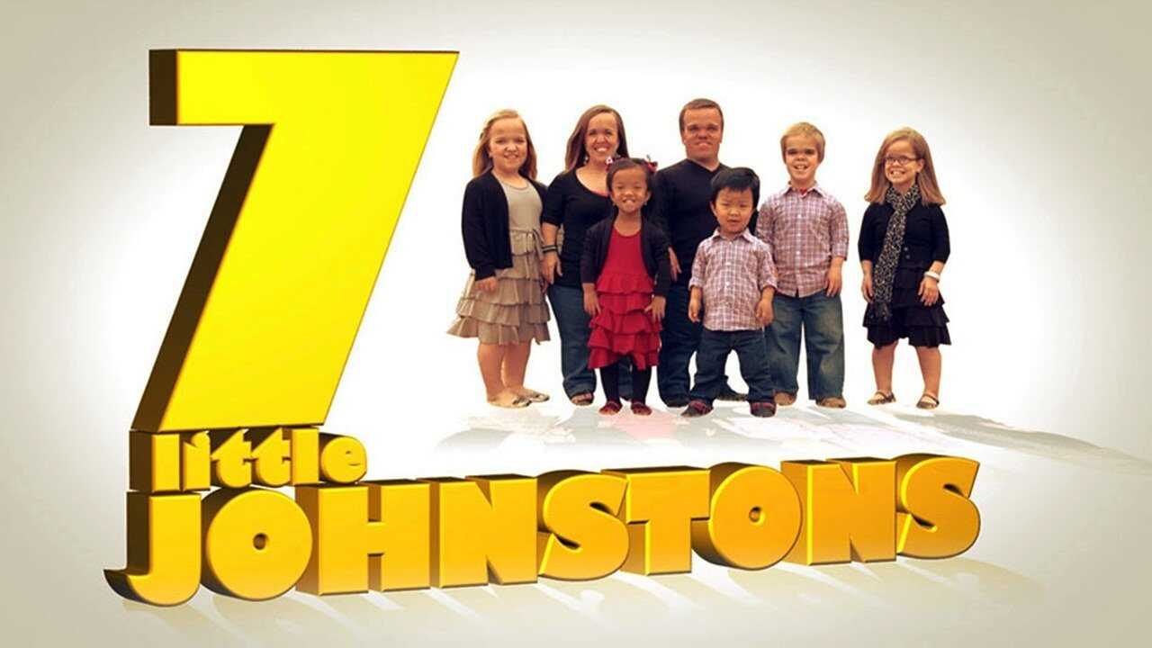EN - 7 Little Johnstons (2015) (US) 2