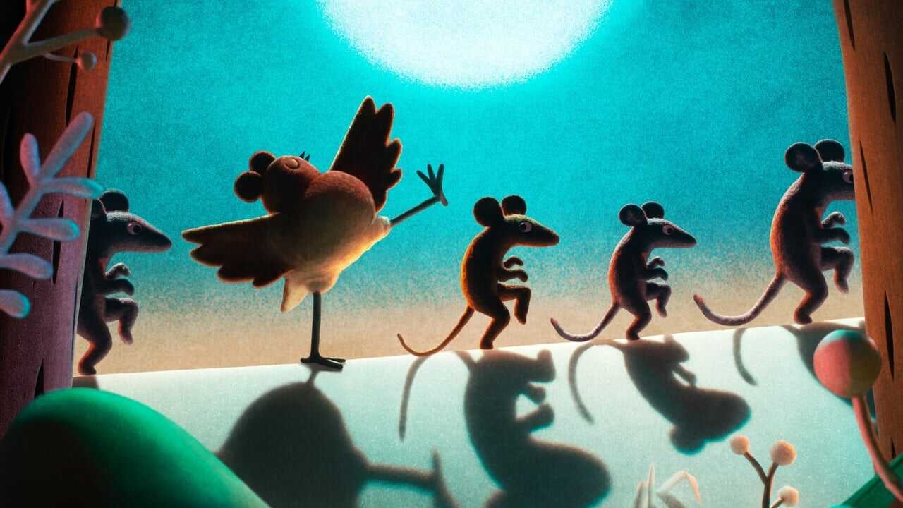 Robin Robin 0